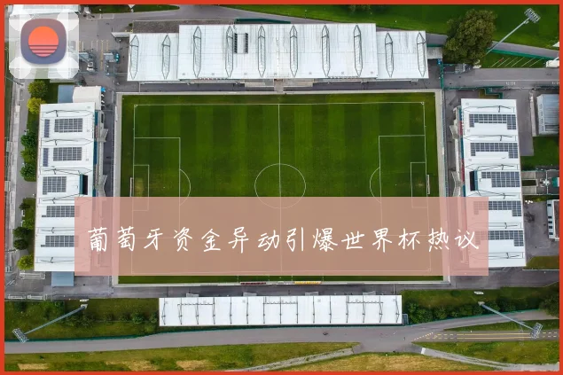 葡萄牙资金异动引爆世界杯热议