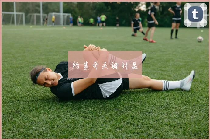 约基奇关键封盖