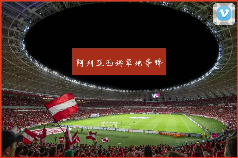 阿利亚西姆草地争锋