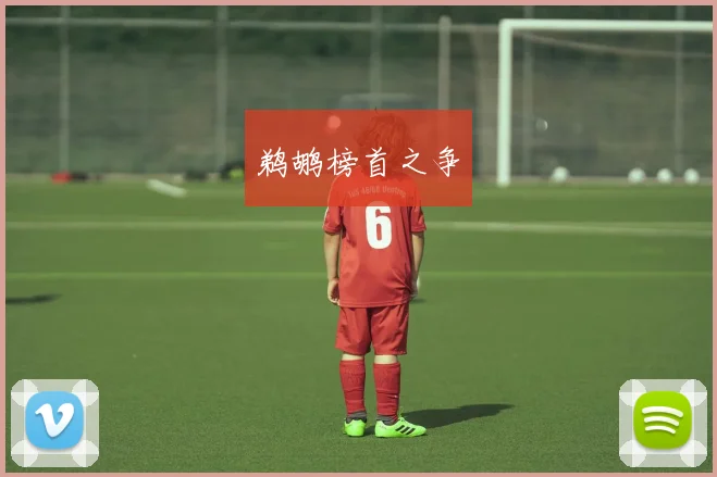 鹈鹕榜首之争