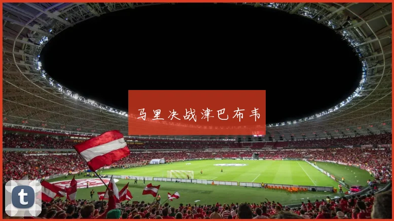 马里决战津巴布韦