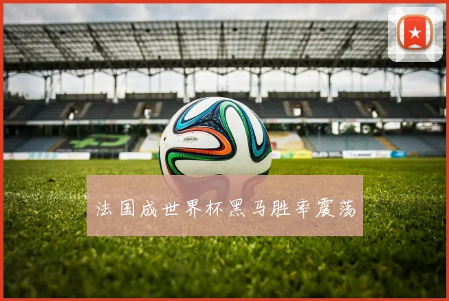法国成世界杯黑马胜率震荡