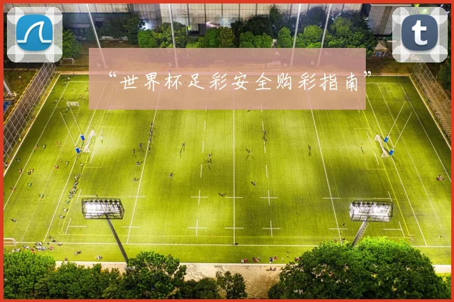 “世界杯足彩安全购彩指南”