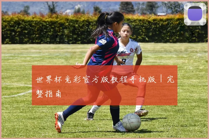 世界杯竞彩官方版教程手机版｜完整指南