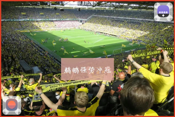 鹈鹕强势冲冠