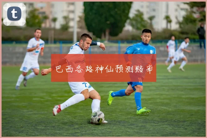 巴西各路神仙预测赔率