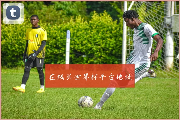 在线买世界杯平台地址