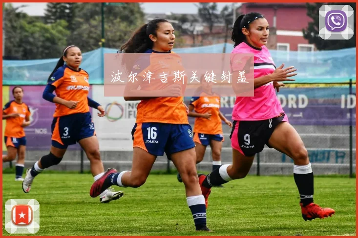 波尔津吉斯关键封盖