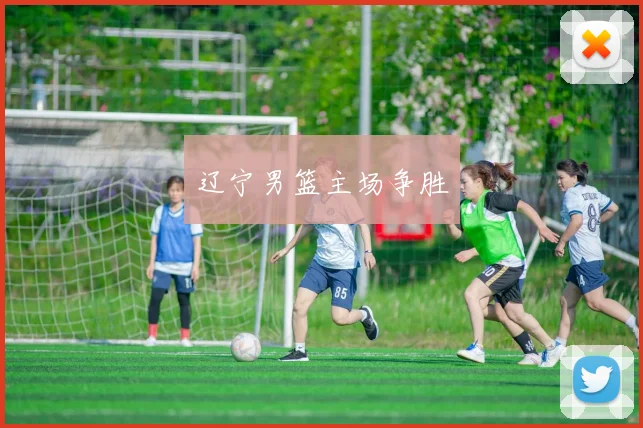 辽宁男篮主场争胜