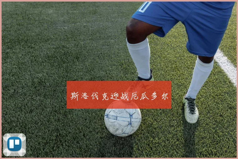 斯洛伐克迎战厄瓜多尔