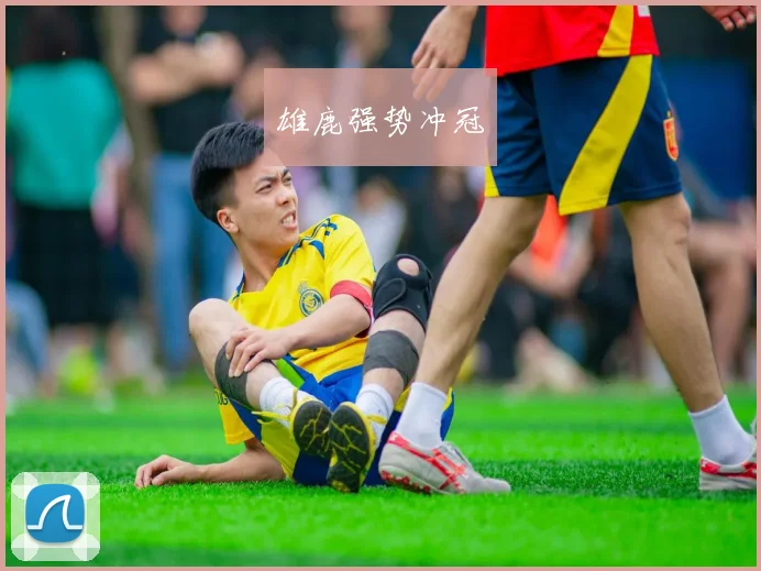 雄鹿强势冲冠