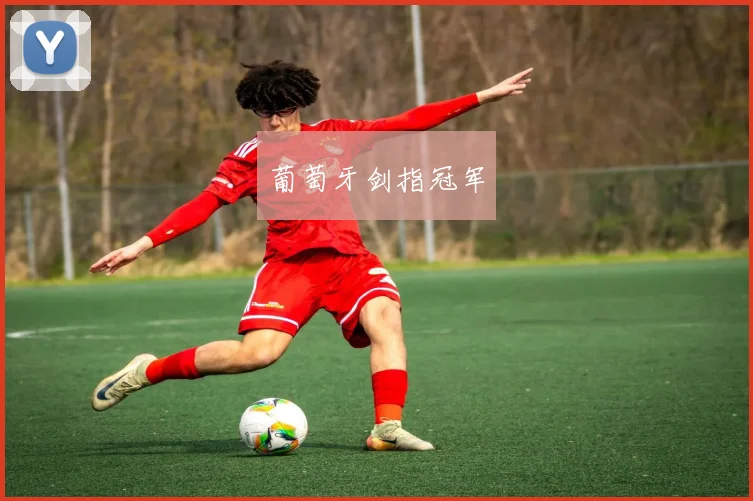 葡萄牙剑指冠军