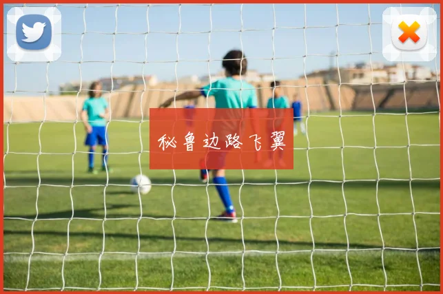 秘鲁边路飞翼