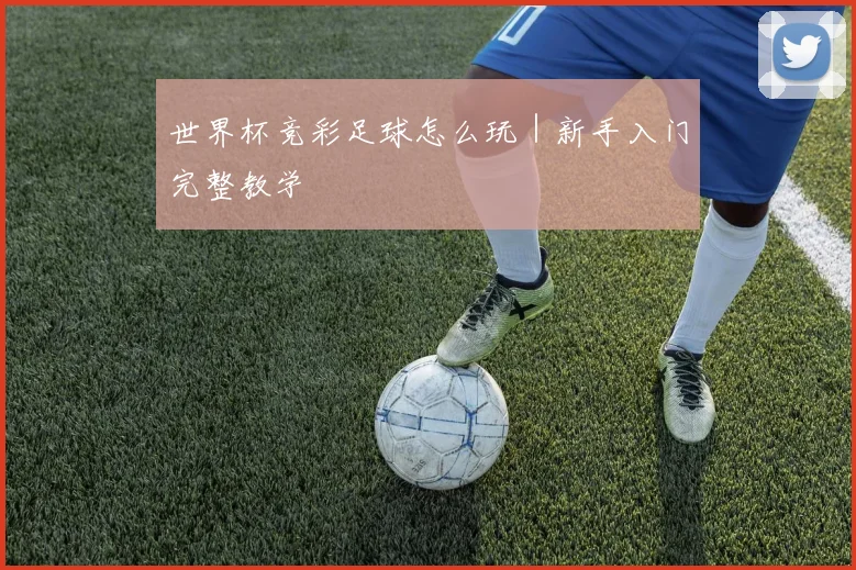 世界杯竞彩足球怎么玩｜新手入门完整教学