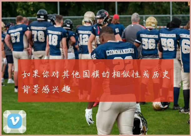 如果你对其他国旗的相似性或历史背景感兴趣