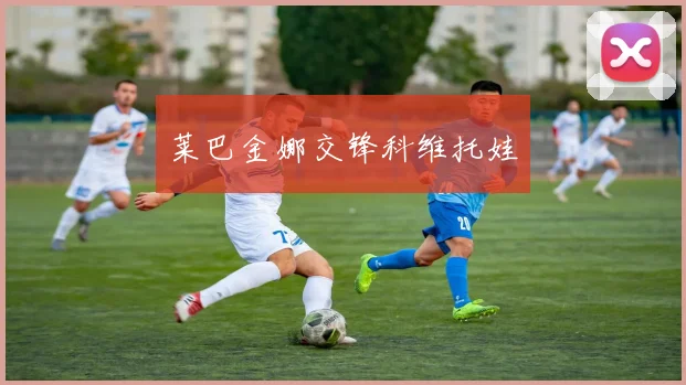 莱巴金娜交锋科维托娃
