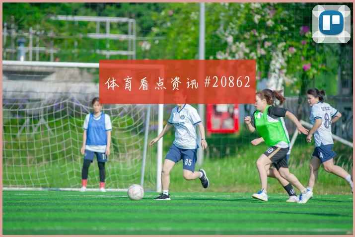 2026世界杯荷兰日本赛前阵容前瞻