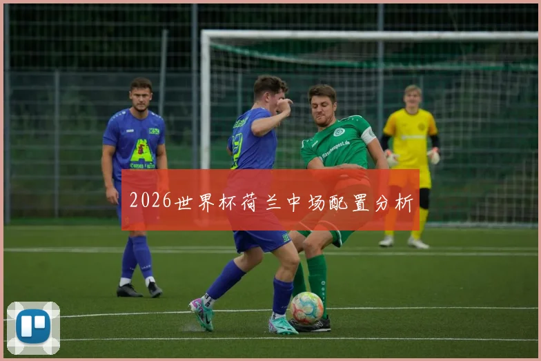 2026世界杯荷兰中场配置分析